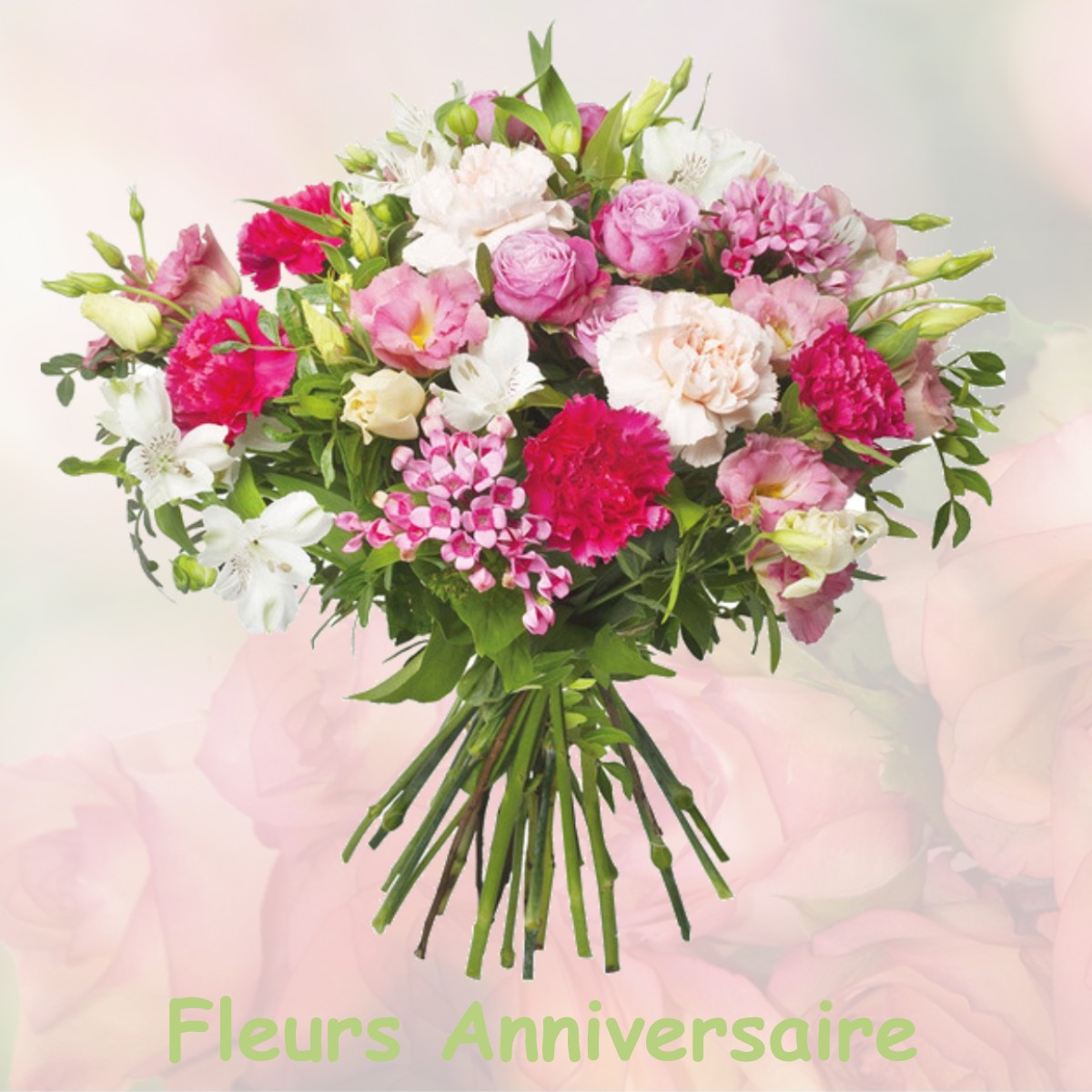 fleurs anniversaire VILLARD-BONNOT