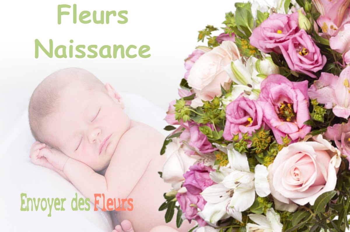 lIVRAISON FLEURS NAISSANCE à VILLARD-BONNOT